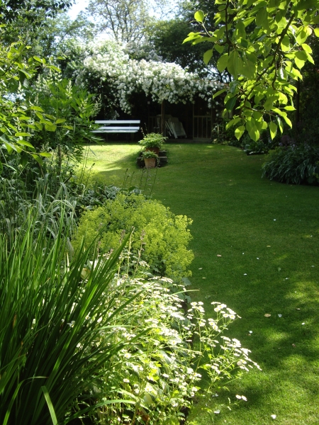 Yorke House & White Rose Cottage